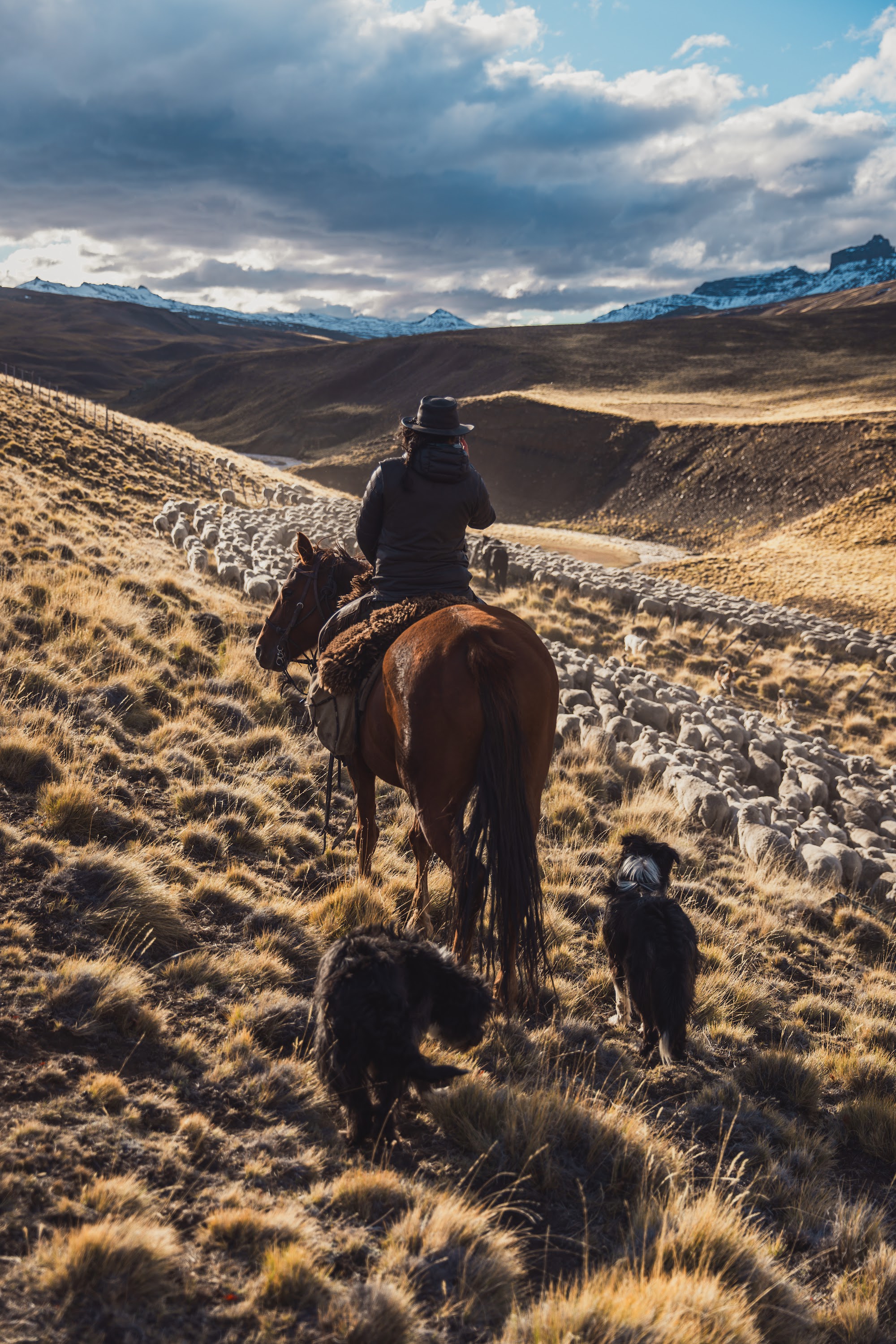 From estancia traditions to the highland steppe