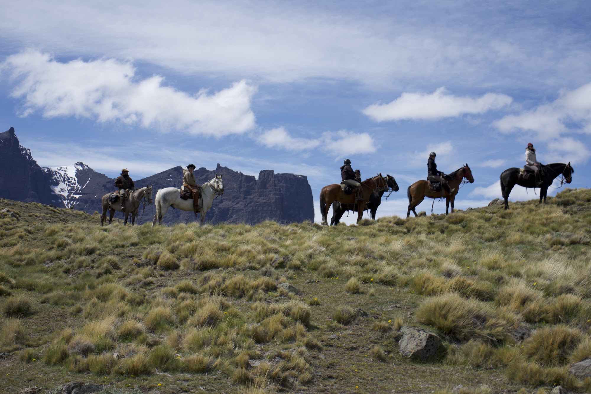 Life on the Antonio Varas Peninsula