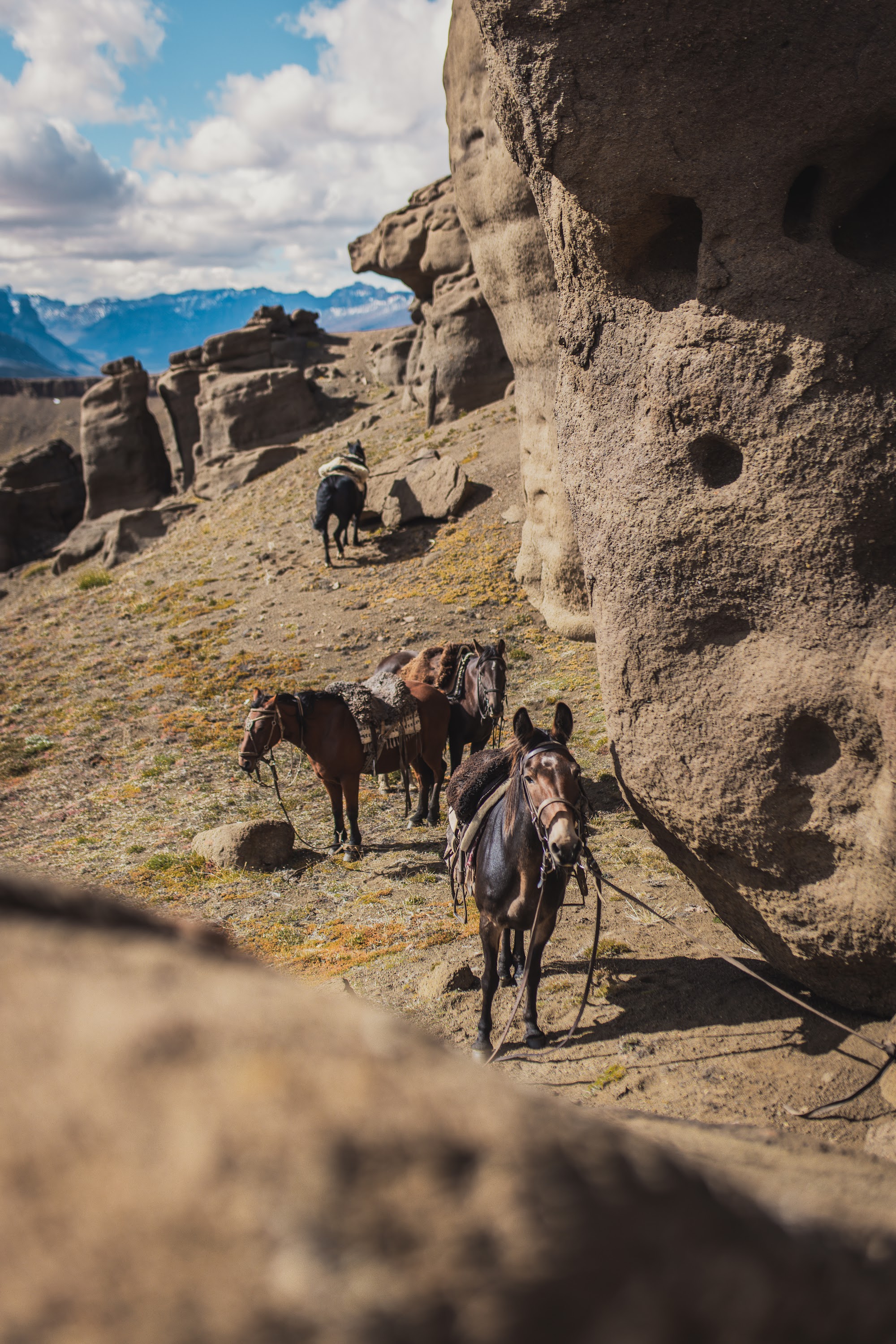 Deep into Sierra Baguales