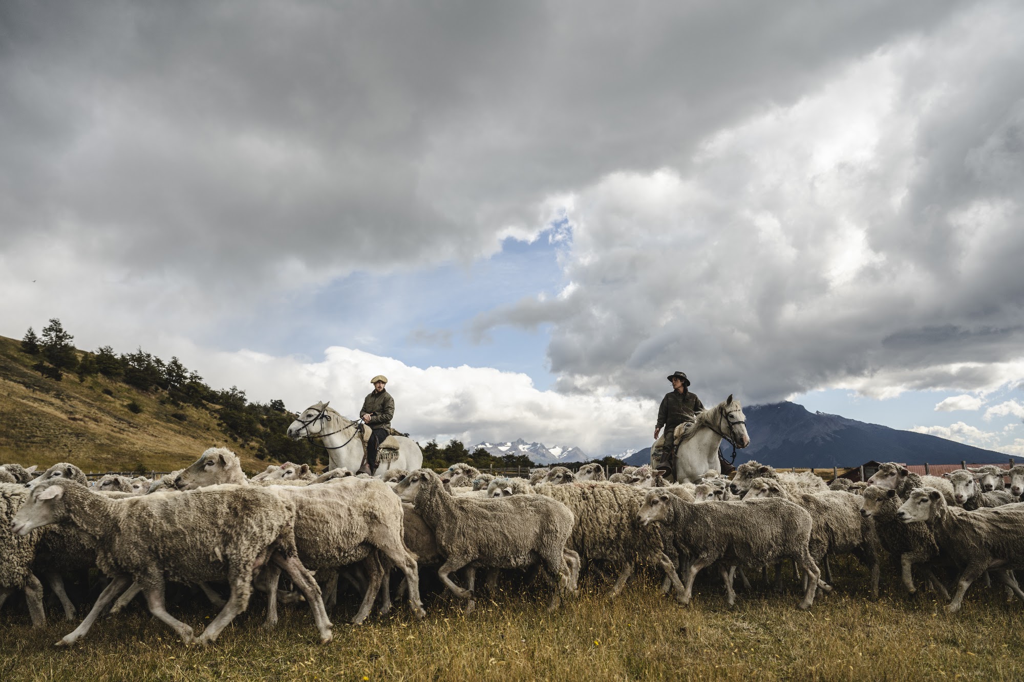 Gauchos herding sheep at Estancia La Península beneath a storm sky