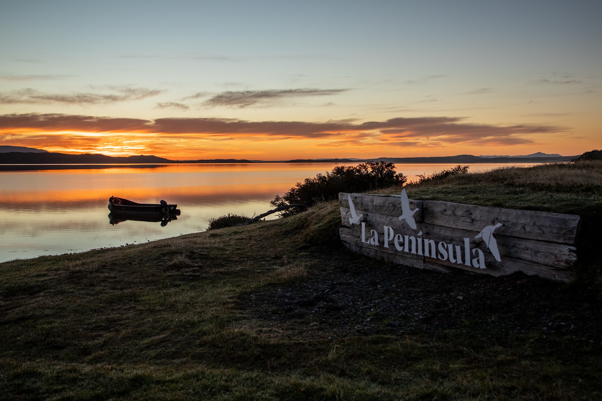 The Antonio Varas peninsula shoreline seen from the water